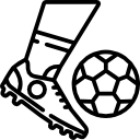 高舸柳